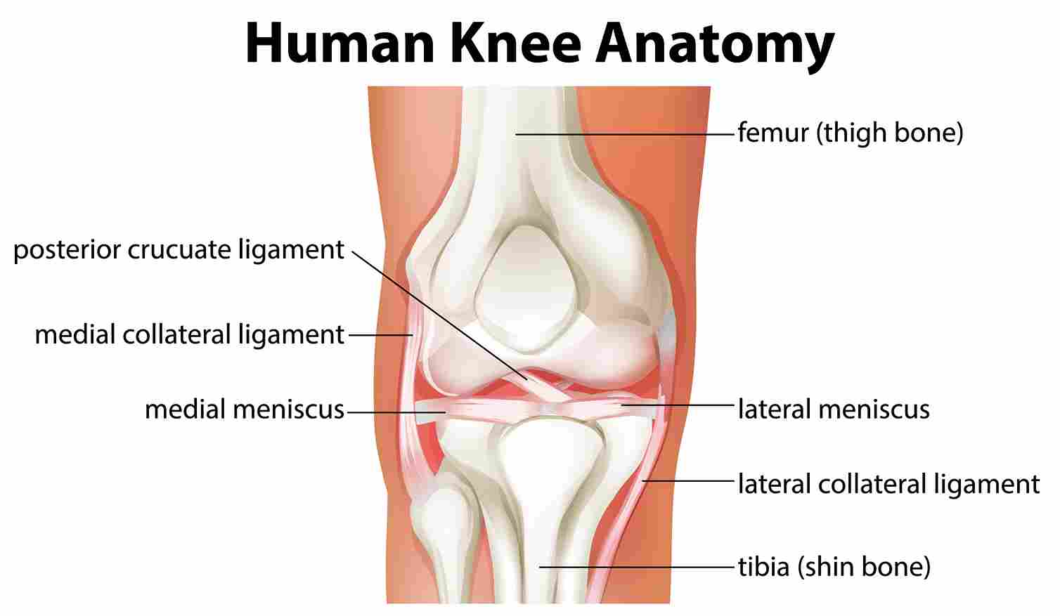 arthroscopic knee surgeon in Viman Nagar